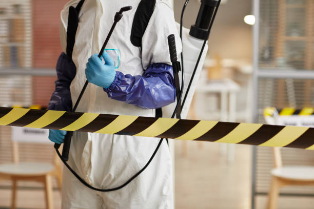 Professional Sewage Cleanup technician working in Columbus, MN